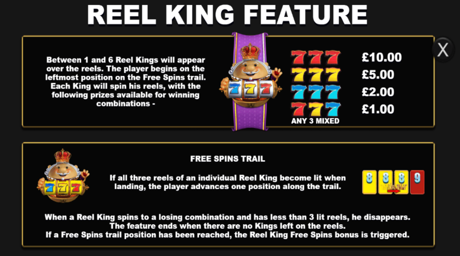 Reel King Megaways Bonus